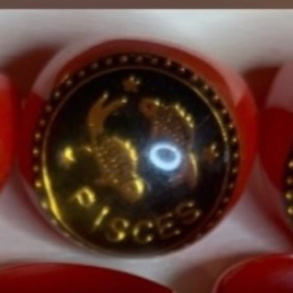 PISCES Zodiac ring (Red, Black, & Gold) NEW Vintage